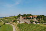 Slovenska istra