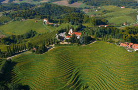 Puklavec Family Wines